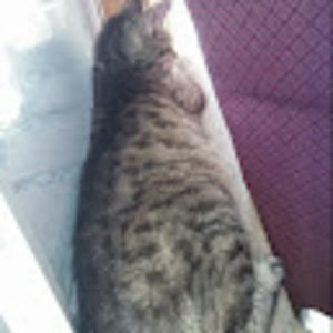 Meet your Posher, Ashely